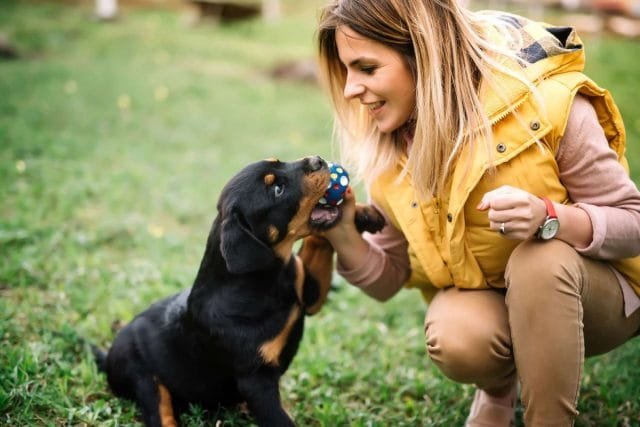 10 "Niet" voor de eigenaar van de hond. Foto