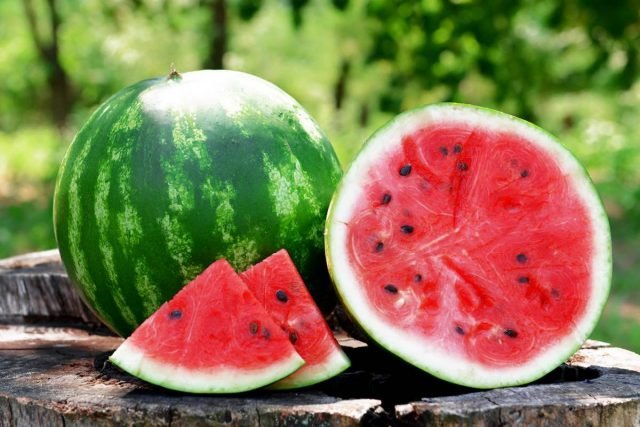10 regels van zoete watermeloen. Planten, formatie, water geven, topdressing. Foto