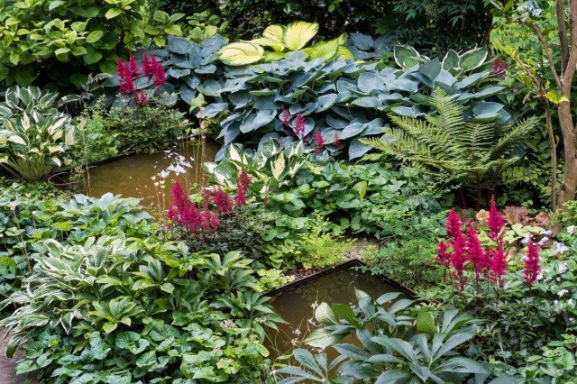 10 manieren om licht toe te voegen aan de schaduwrijke hoeken van de tuin. Foto