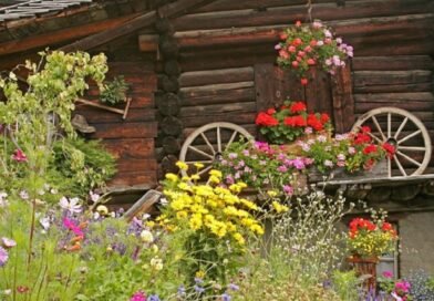 10 Hoofdelementen van de Zwitserse tuin. Zwitserse stijl van landschapsontwerp. Foto
