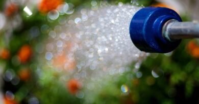 10 basisfouten bij het water geven van de tuin. De timing en normen van irrigatie voor verschillende gewassen. Foto