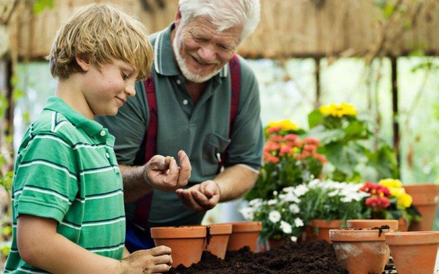 10 pluspunten van vakantie in uw eigen tuin. Foto