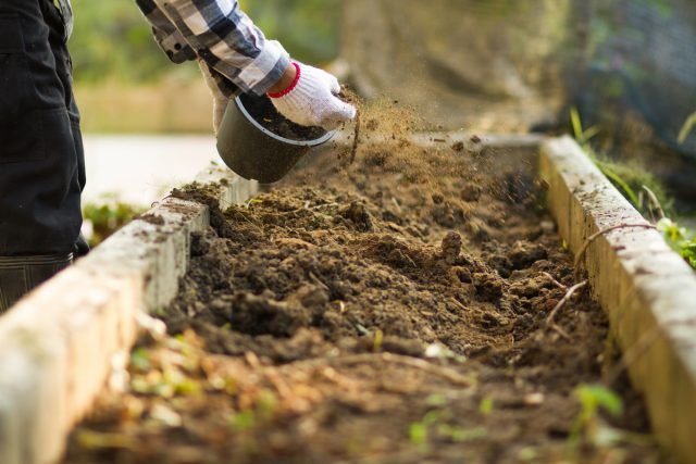 10 mythen en misvattingen over compost. Foto