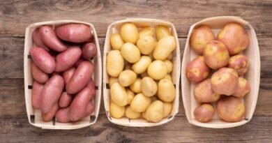 10 meest populaire variëteiten van aardappelen. Beschrijving en foto