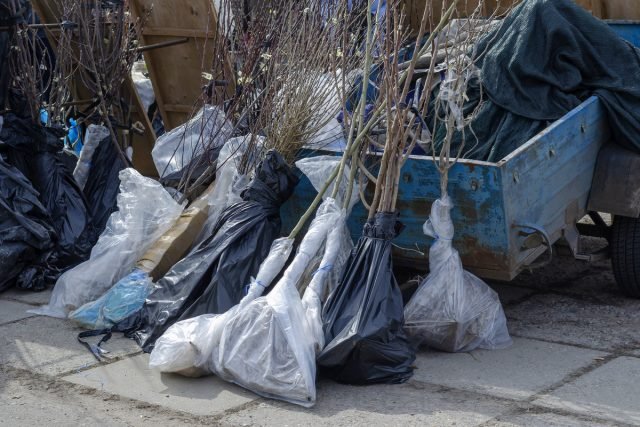 12 vragen die een gewetenloze verkoper van zaailingen zullen leiden om water schoon te maken. Foto