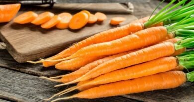 15 Beste soorten wortelen voor nieuw gebruik en opslag. Beschrijving, foto