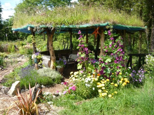 15 ongewone boeren voor uw tuin. Foto