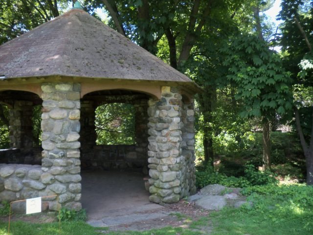 15 ongewone boeren voor uw tuin. Foto