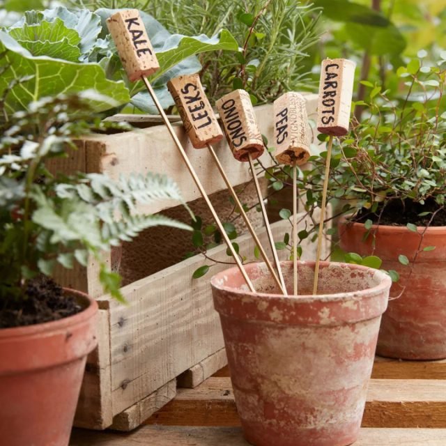 15 heldere ideeën voor tuinontwerp van wat er aan de hand is. Foto