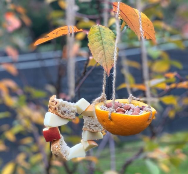 15 heldere ideeën voor tuinontwerp van wat er aan de hand is. Foto