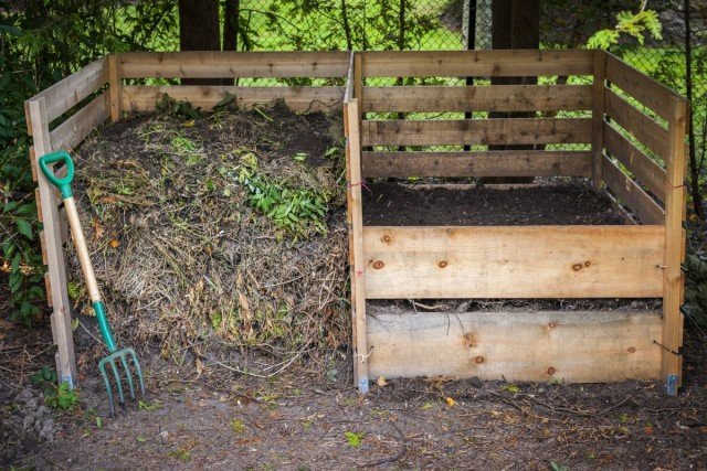 15 Ernstige fouten die niet kunnen worden gemaakt in de herfst in de tuin. Foto