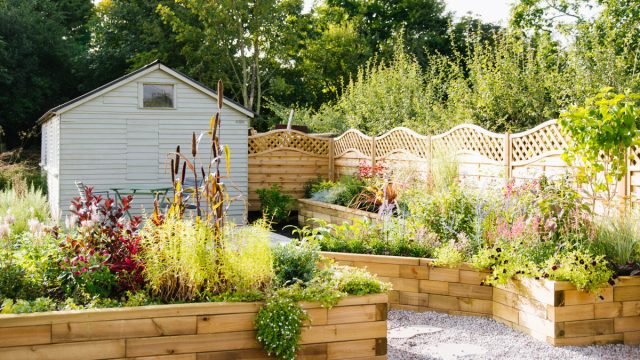 25 ideeën voor de nieuwe bloementuin - Bereid je voor op het volgende seizoen. Foto