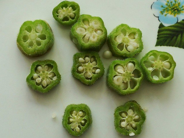 5 exotische groenten die ik adviseer om voor iedereen te groeien. Pepino. Cucurda. Venkel. Bamia. Snijbiet. Beschrijving en foto - pagina 4 van de 5