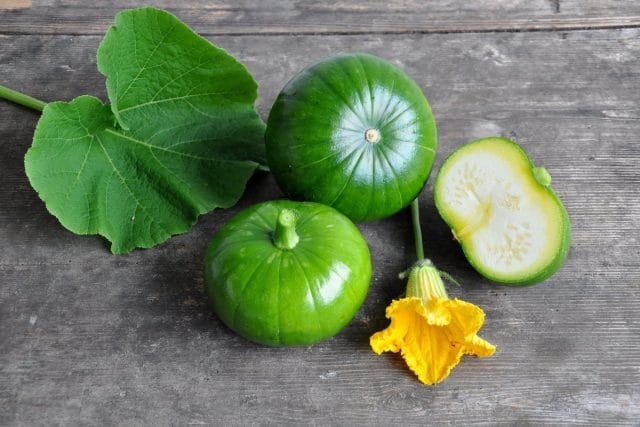 5 ongewone courgette die ik vorig seizoen heb opgevoed. Beschrijving van variëteiten en foto's