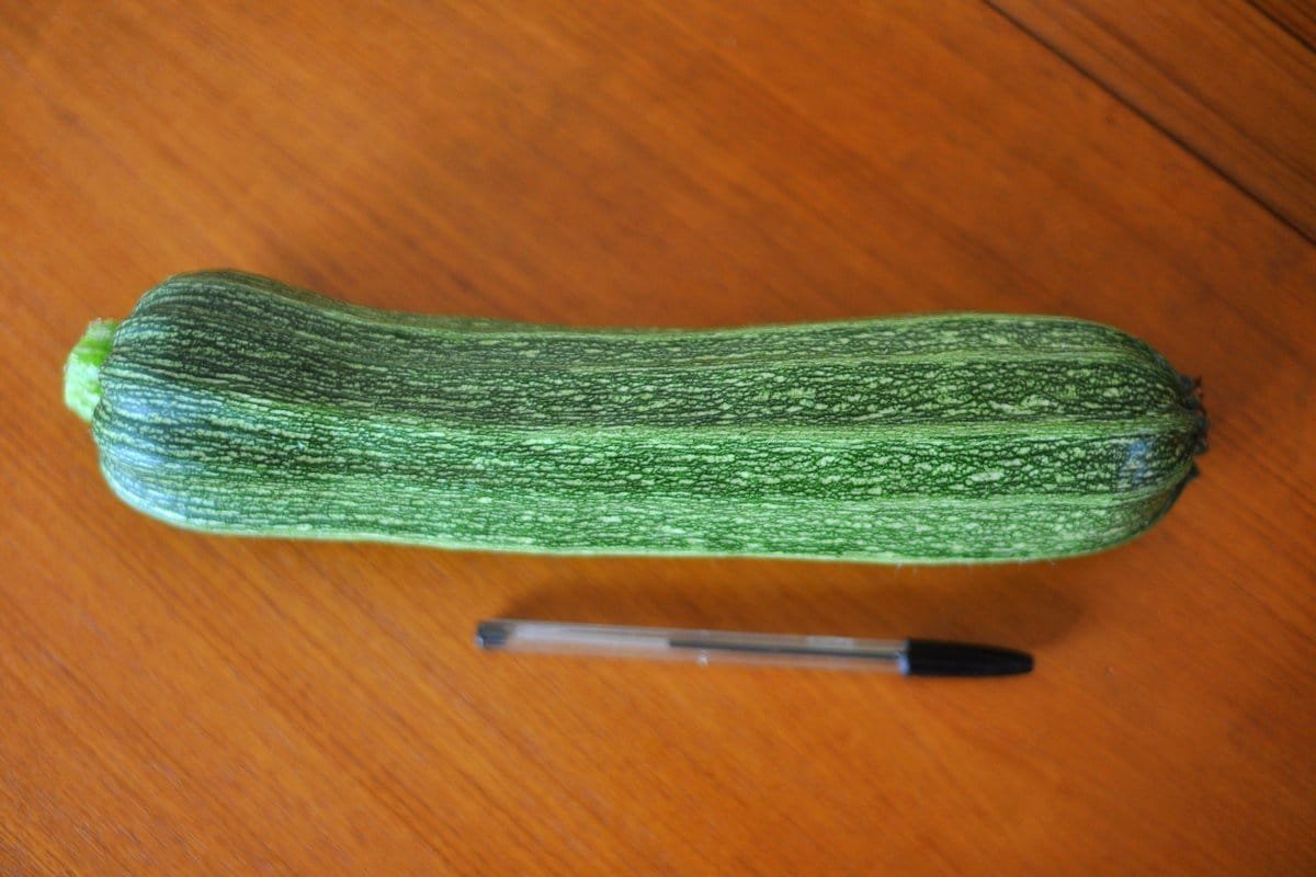 5 ongewone courgette die ik vorig seizoen heb opgevoed. Beschrijving van variëteiten en foto's