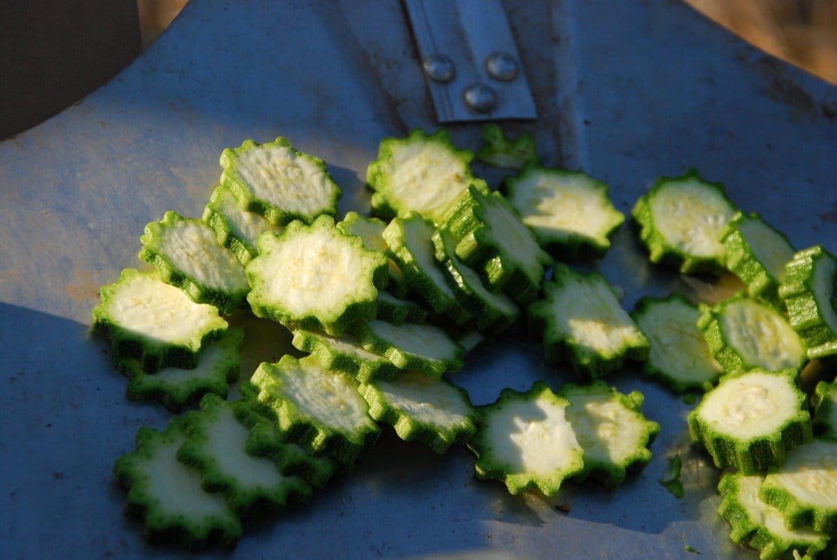 5 ongewone courgette die ik vorig seizoen heb opgevoed. Beschrijving van variëteiten en foto's