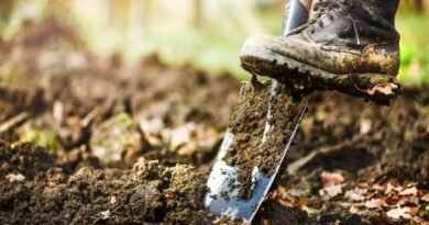 5 Herfstwerk met grond om het in de winter aanzienlijk te verbeteren. Foto