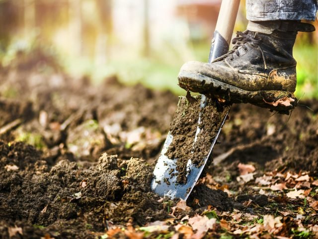 5 Herfstwerk met grond om het in de winter aanzienlijk te verbeteren. Foto