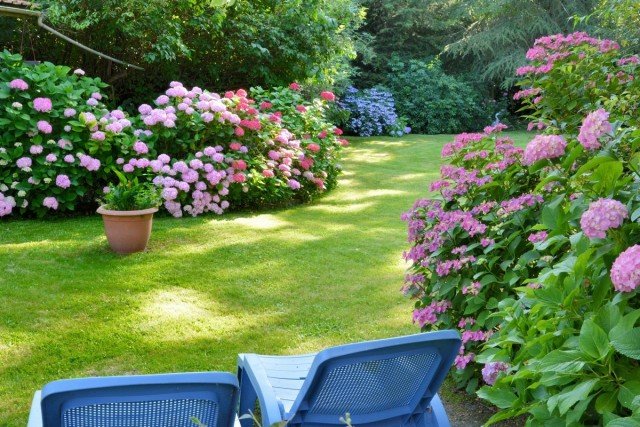 6 Hoofdregels van de onbewoonde tuin van de landschapsontwerper. Hoe maak je een tuin voor de luie? Foto