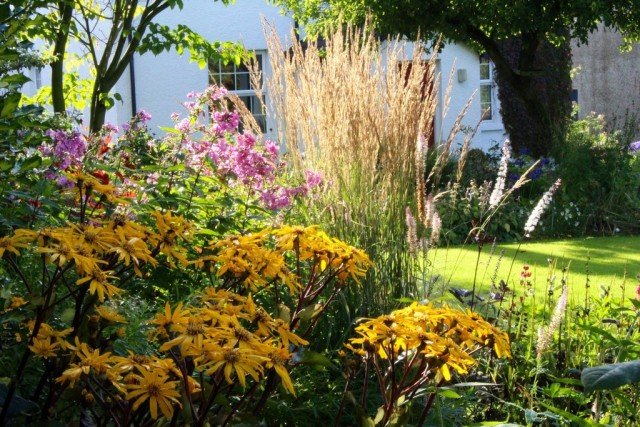 6 Hoofdregels van de onbewoonde tuin van de landschapsontwerper. Hoe maak je een tuin voor de luie? Foto