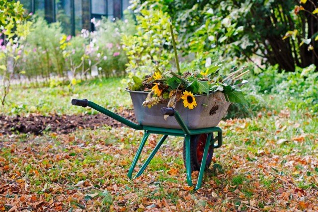 7 werkt in de bloementuin, die u moet hebben om tijd te hebben voor vorst