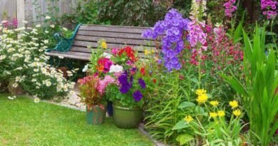 7 manieren om de bloementuin snel te corrigeren in het midden van de zomer. Foto