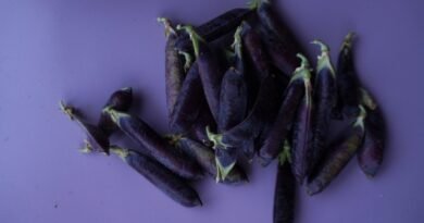 7 Gezonde en heerlijke paarse groenten die ik verbouw. Beschrijving. Foto - pagina 2 van 7