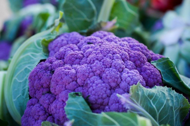 7 Gezonde en heerlijke paarse groenten die ik verbouw. Beschrijving. Foto