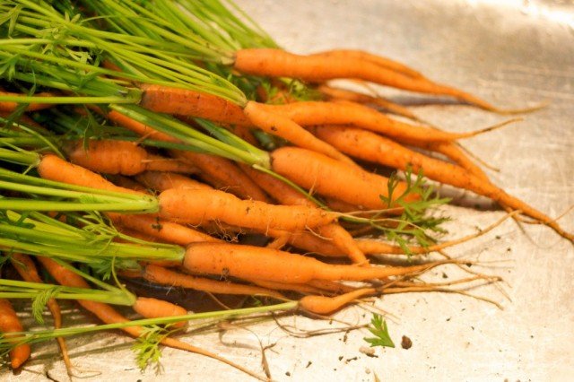 9 groenten voor het "snel" gewas. Welke gewassen kunnen in 30-50 dagen worden gekweekt? Foto