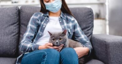 9 gevaarlijke ziekten die kunnen worden geïnfecteerd door dieren