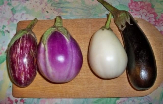 Aubergine - voor groei. De beste variëteiten. Foto