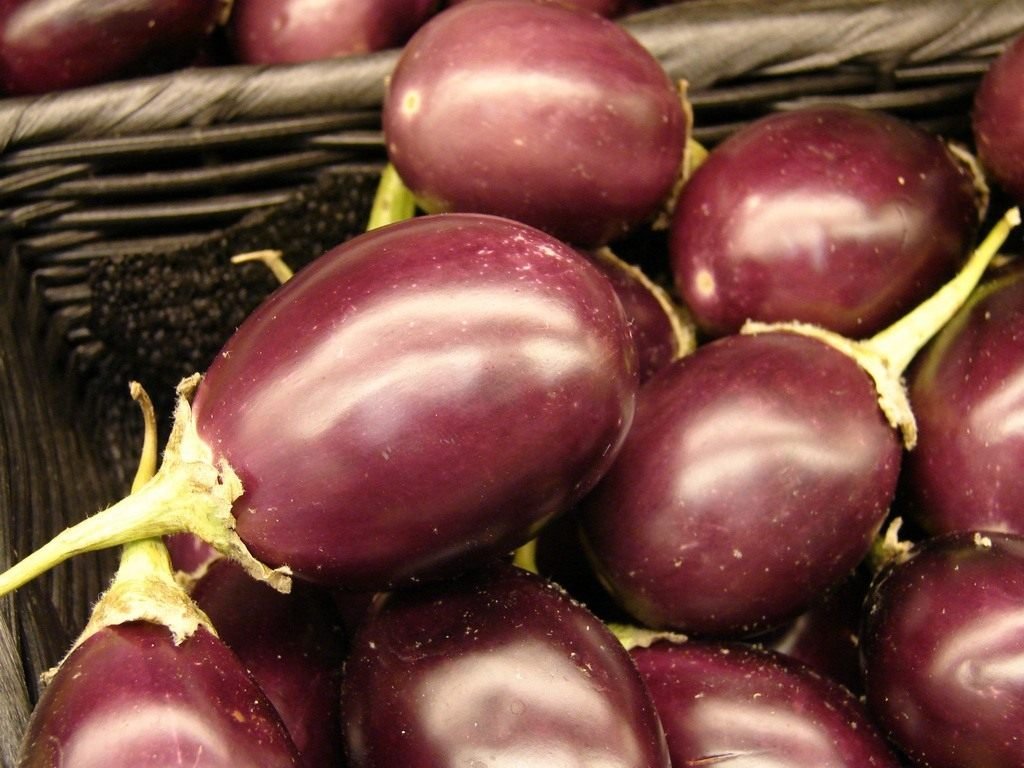 Aubergine - voor groei. De beste variëteiten. Foto