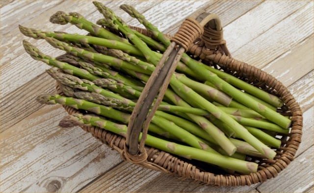 De asperges is een vroege groente. Groeien uit zaden. Planten en zorg. Foto