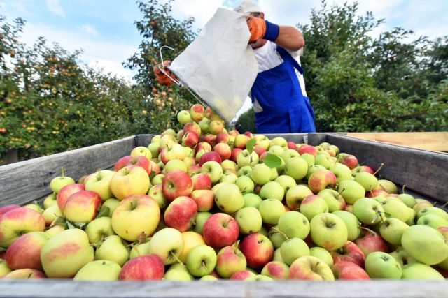 De strijd tegen de beren: methoden van strijd en preventie. Foto