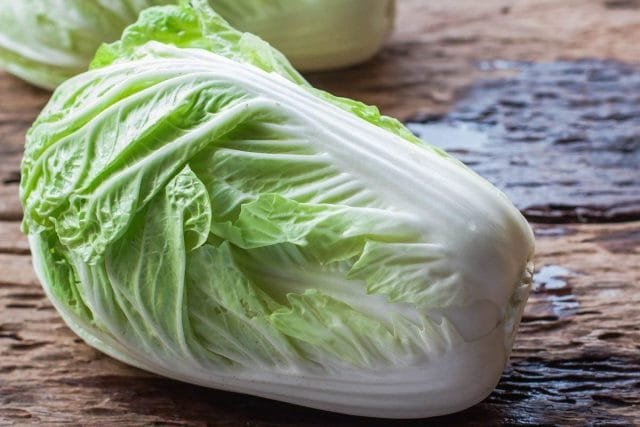 Eetbare Groenen van Beijing Cabbage. Zorg, teelt, landen. Salade. Foto