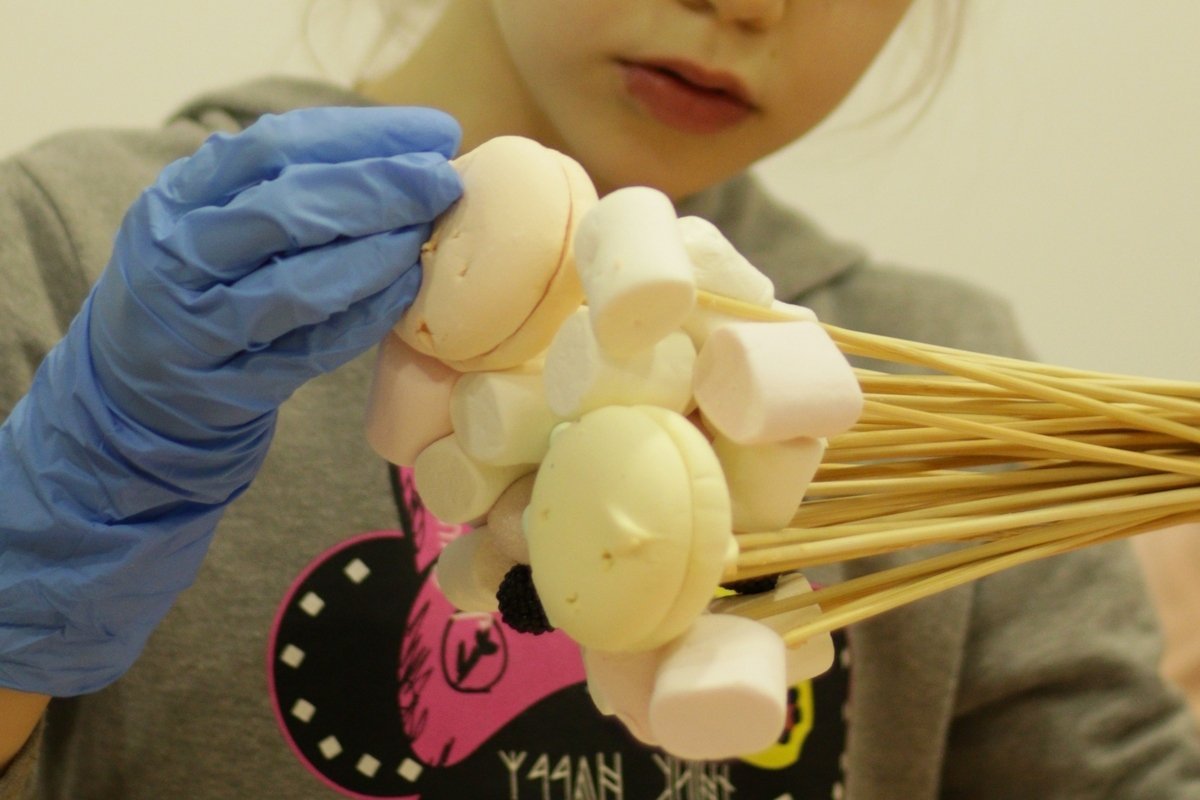 Een boeket van Marshmalllow en Marshmallows is een origineel en heerlijk geschenk. Masterclass met foto's