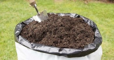 Snelle compost is een uitstekende meststof en geen vreugdevuren op de site. Hoe maak je aerobe compost in de herfst en lente? Foto