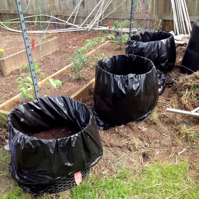 Snelle compost is een uitstekende meststof en geen vreugdevuren op de site. Hoe maak je aerobe compost in de herfst en lente? Foto