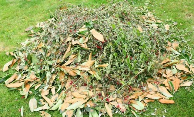 Snelle compost is een uitstekende meststof en geen vreugdevuren op de site. Hoe maak je aerobe compost in de herfst en lente? Foto