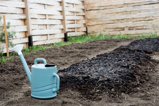 Theemaddenstoel - Hoe te maken en te gebruiken in de tuin en thuis? Basisrecept. Foto