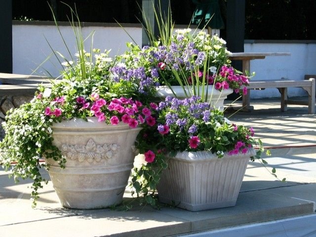 5 opties voor het ontwerpen van composities in containers. Selectie van bloemen voor containers, bloemverhalen, bloempots. Foto