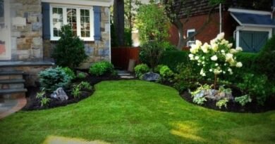 7 geheimen van professionals die helpen uw tuin speciaal te maken