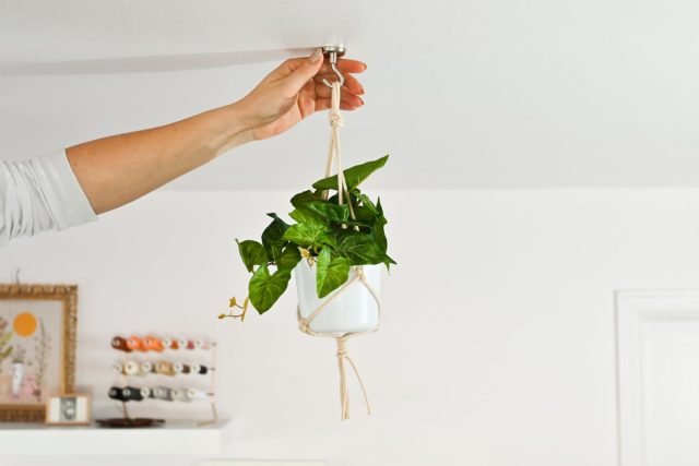 11 manieren om een ​​pot op te hangen zonder het plafond te boren. Foto