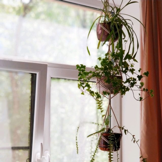 11 manieren om een ​​pot op te hangen zonder het plafond te boren. Foto