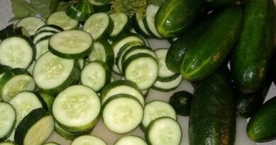 In komkommers - geen water. Gunstige kenmerken. Hoe zijn komkommers nuttig? Foto