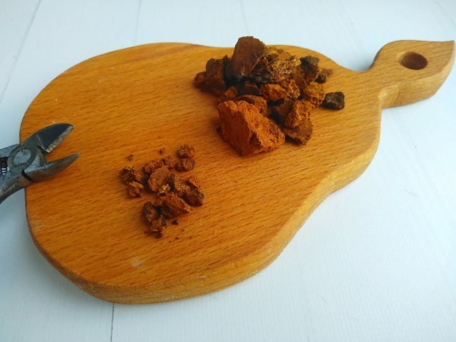 Wat is chaga - recepten en onverwachte eigenschappen van een nuttige paddestoel