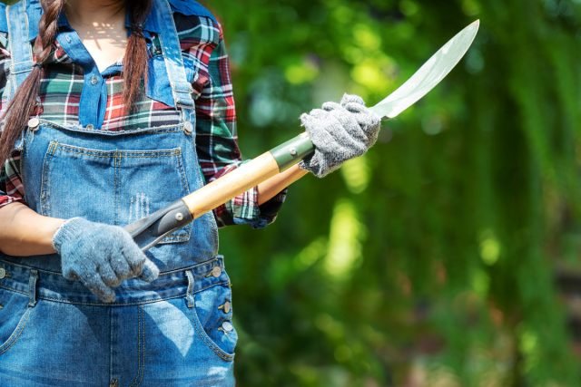 De basisset tuingereedschap die elke zomerbewoner nodig heeft. Foto