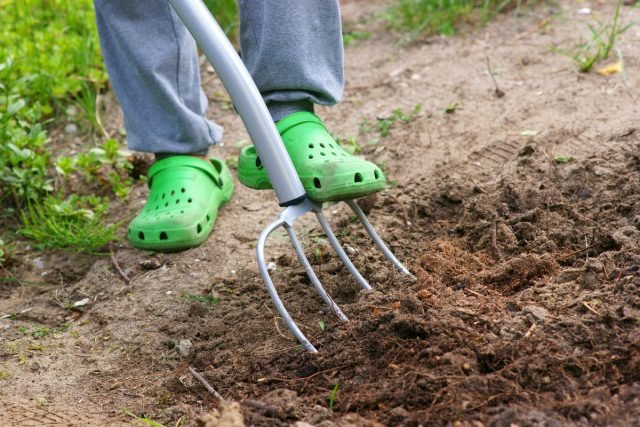 De basisset tuingereedschap die elke zomerbewoner nodig heeft. Foto