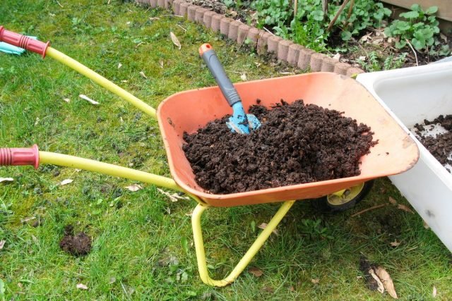 Compost is een gezonde voeding voor planten. Voorbereiding van compost. Wat gaat naar compost. Snelle compost. Foto