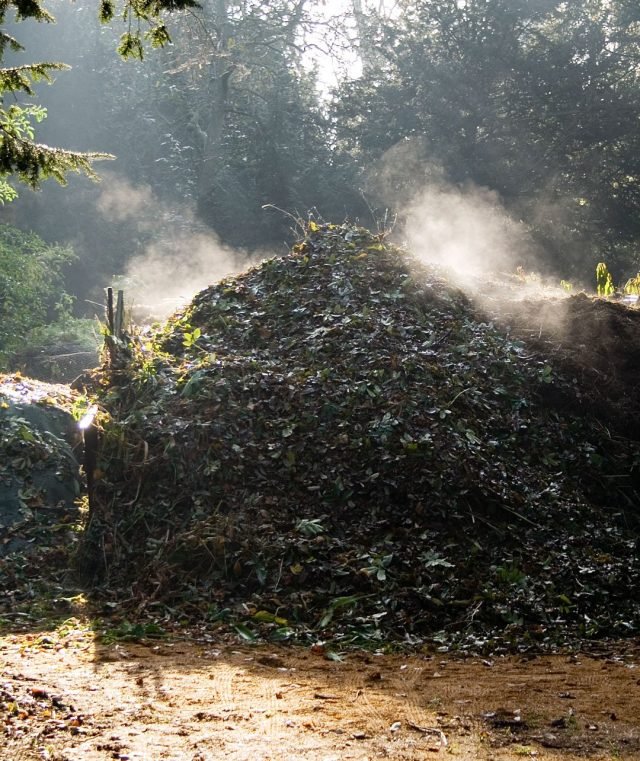 Compost is een gezonde voeding voor planten. Voorbereiding van compost. Wat gaat naar compost. Snelle compost. Foto